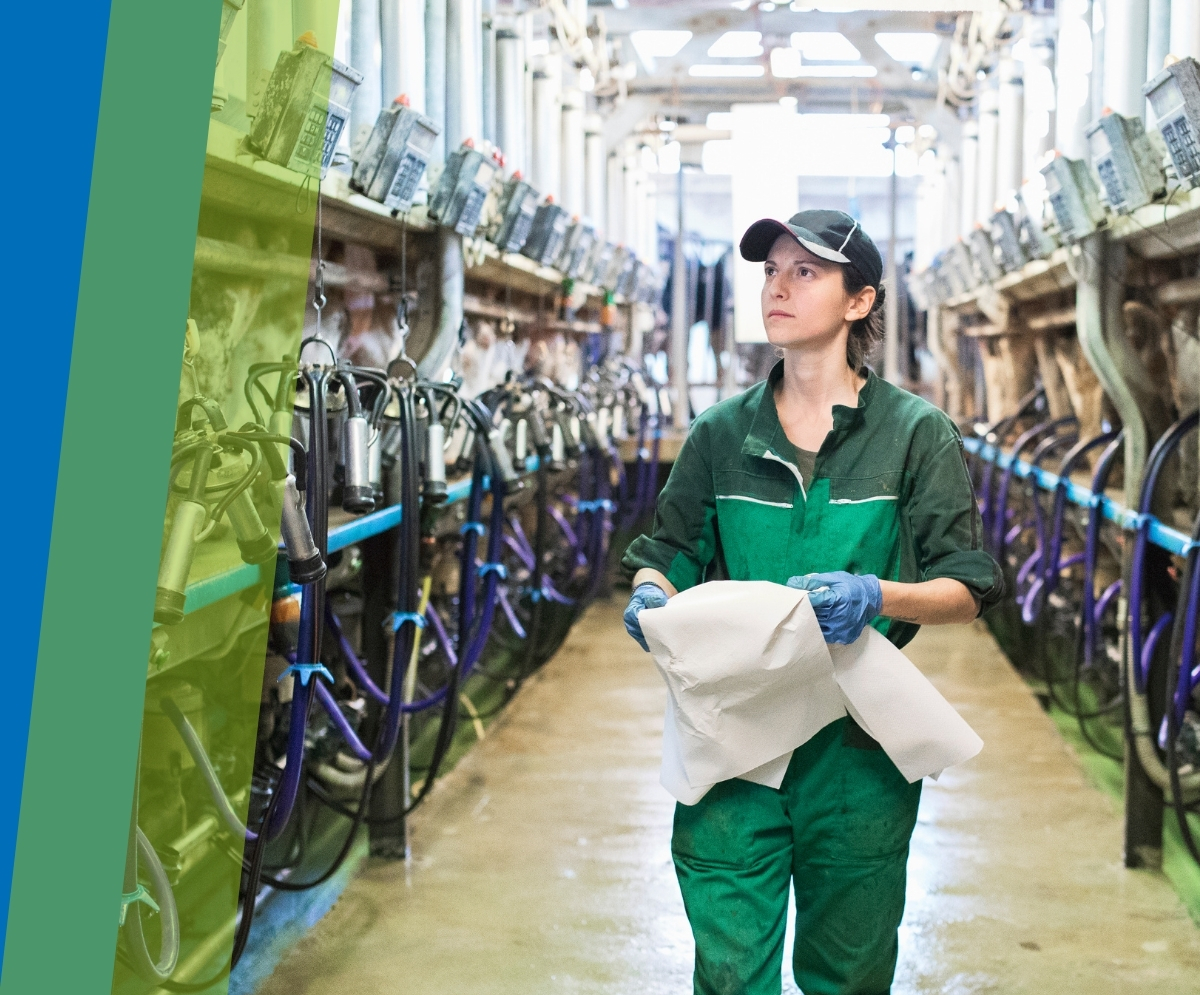 Máquinas de Ordeño